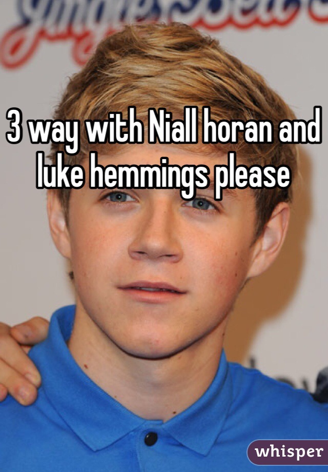 3 way with Niall horan and luke hemmings please 