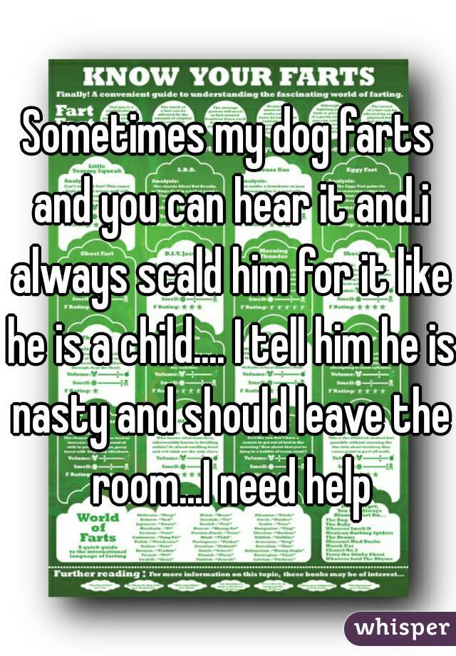 Sometimes my dog farts and you can hear it and.i always scald him for it like he is a child.... I tell him he is nasty and should leave the room...I need help