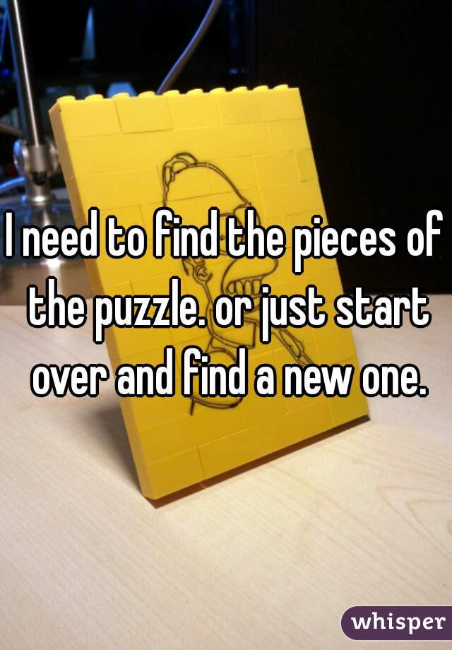 I need to find the pieces of the puzzle. or just start over and find a new one.