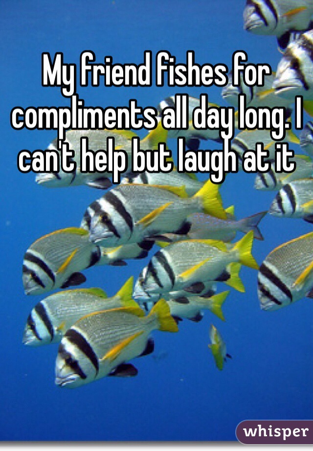 My friend fishes for compliments all day long. I can't help but laugh at it