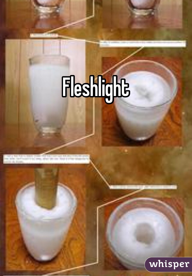 Fleshlight 