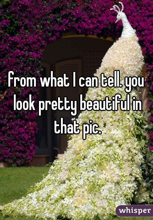 from what I can tell. you look pretty beautiful in that pic.