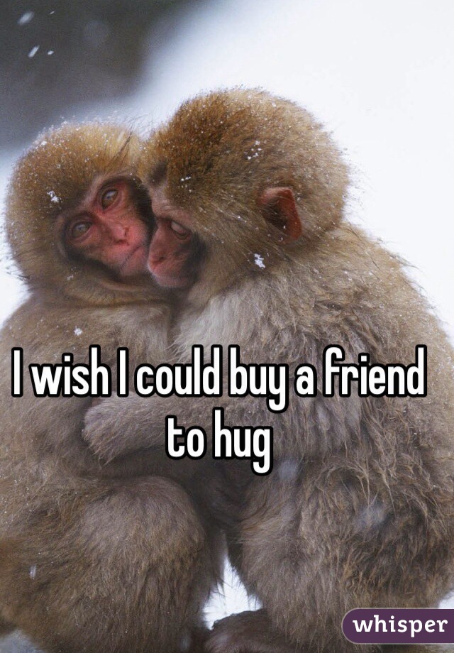 I wish I could buy a friend to hug