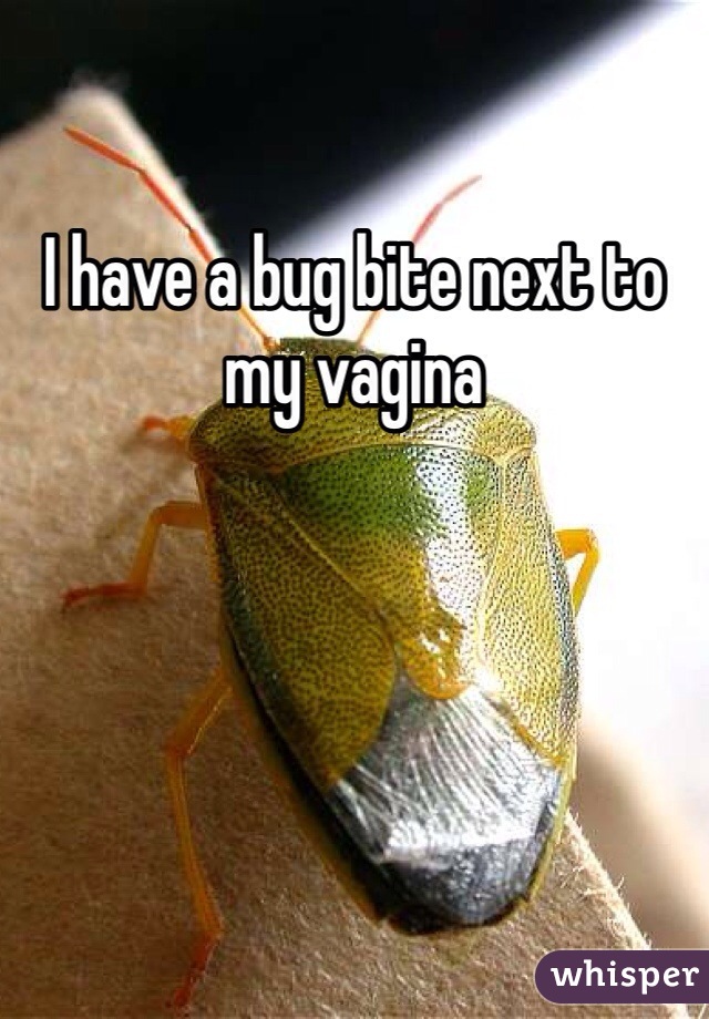 I have a bug bite next to my vagina 