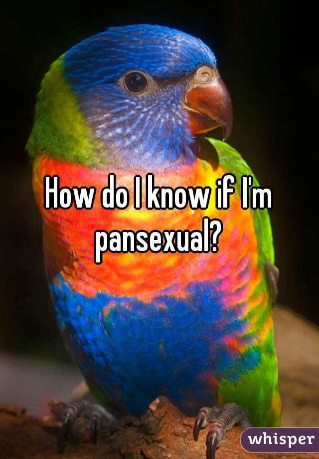 How do I know if I'm pansexual? 