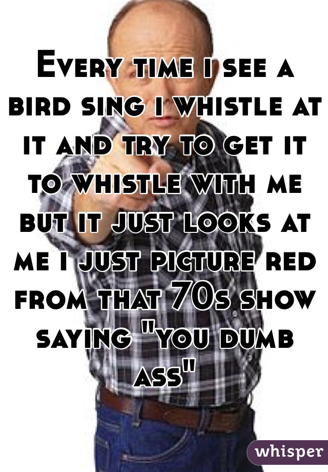 Every time i see a bird sing i whistle at it and try to get it to whistle with me but it just looks at me i just picture red from that 70s show saying "you dumb ass" 