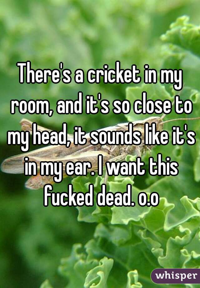 There's a cricket in my room, and it's so close to my head, it sounds like it's in my ear. I want this fucked dead. o.o