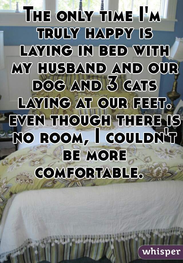 The only time I'm truly happy is laying in bed with my husband and our dog and 3 cats laying at our feet. even though there is no room, I couldn't be more comfortable.  