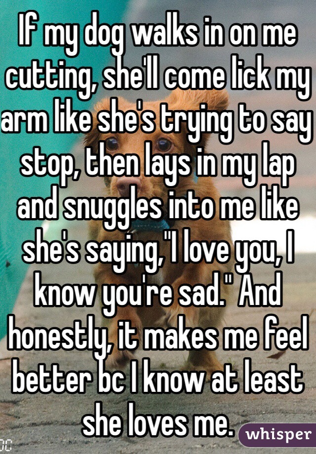 If my dog walks in on me cutting, she'll come lick my arm like she's trying to say stop, then lays in my lap and snuggles into me like she's saying,"I love you, I know you're sad." And honestly, it makes me feel better bc I know at least she loves me. 