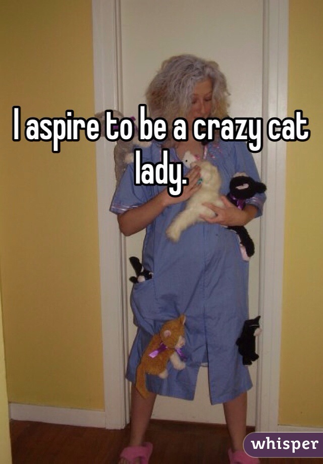 I aspire to be a crazy cat lady.
