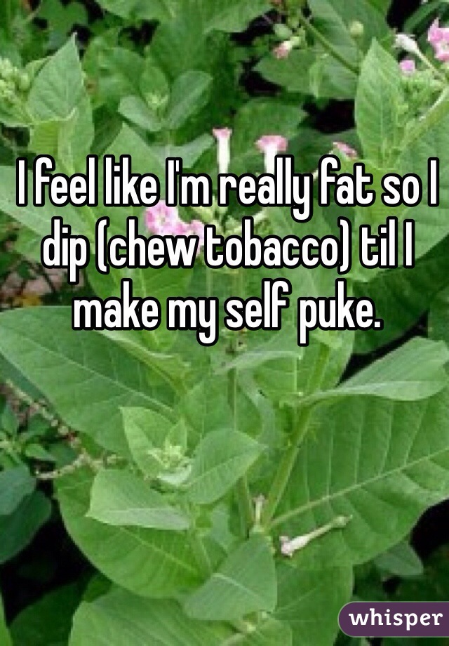 I feel like I'm really fat so I dip (chew tobacco) til I make my self puke. 