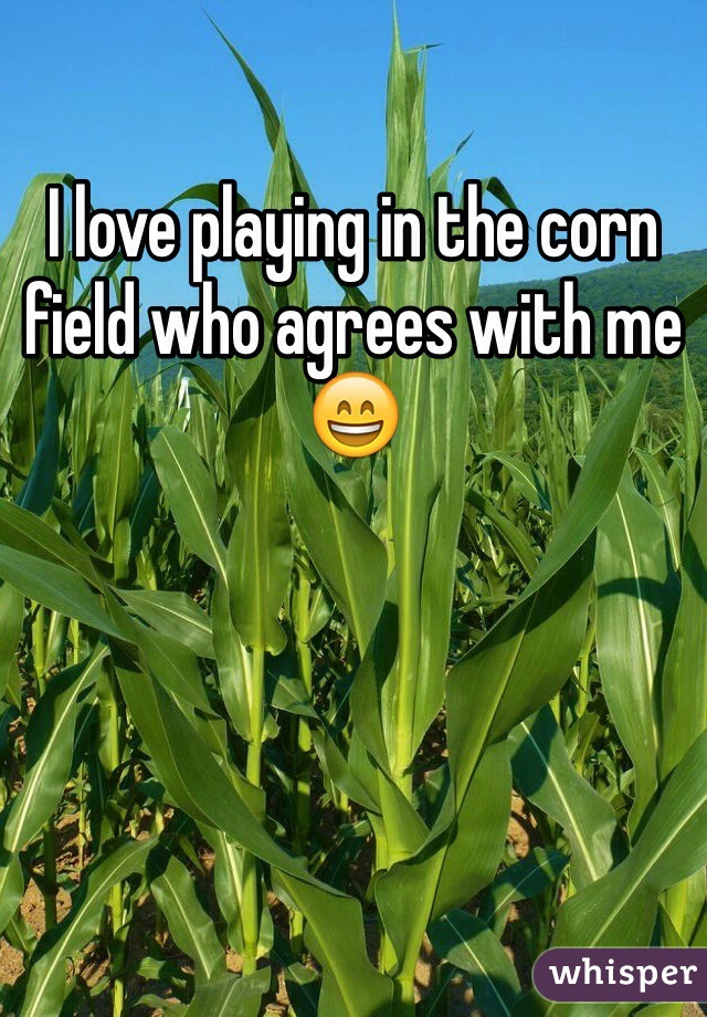 I love playing in the corn field who agrees with me 😄