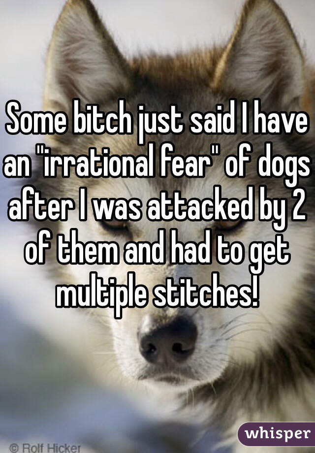 Some bitch just said I have an "irrational fear" of dogs after I was attacked by 2 of them and had to get multiple stitches!