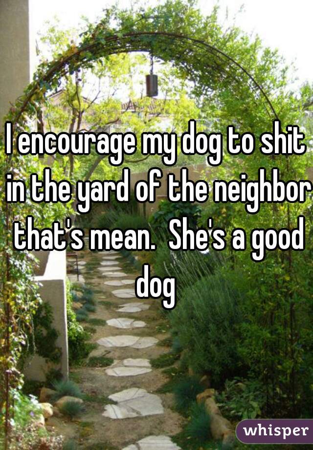 I encourage my dog to shit in the yard of the neighbor that's mean.  She's a good dog 