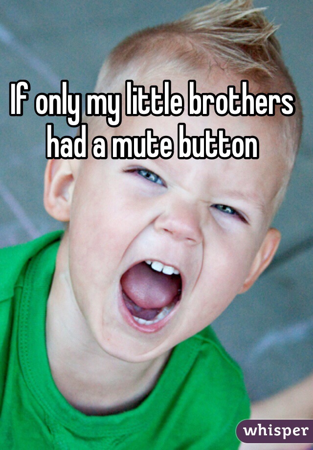 If only my little brothers had a mute button