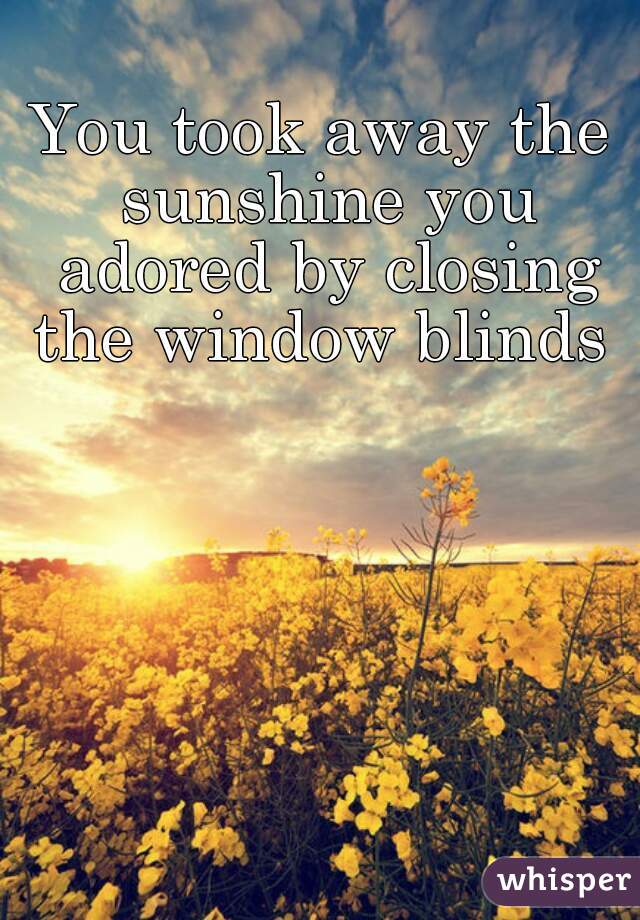 You took away the sunshine you adored by closing the window blinds 