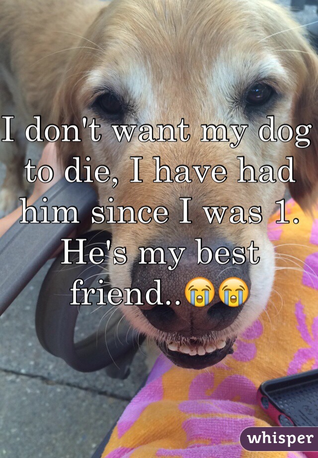 I don't want my dog to die, I have had him since I was 1. He's my best friend..😭😭