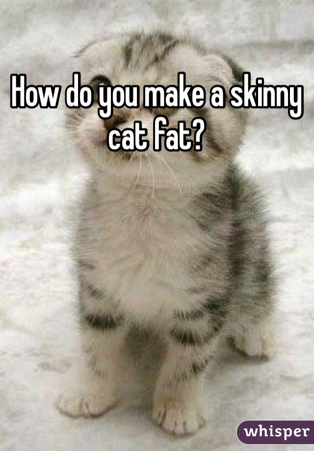 How do you make a skinny cat fat?