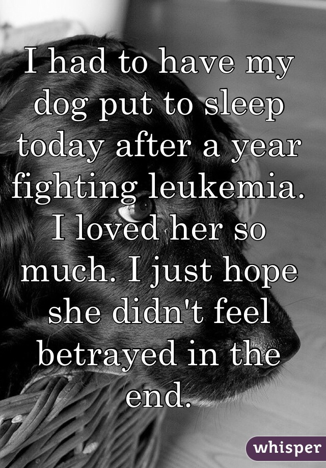 I had to have my dog put to sleep today after a year fighting leukemia. I loved her so much. I just hope she didn't feel betrayed in the end.