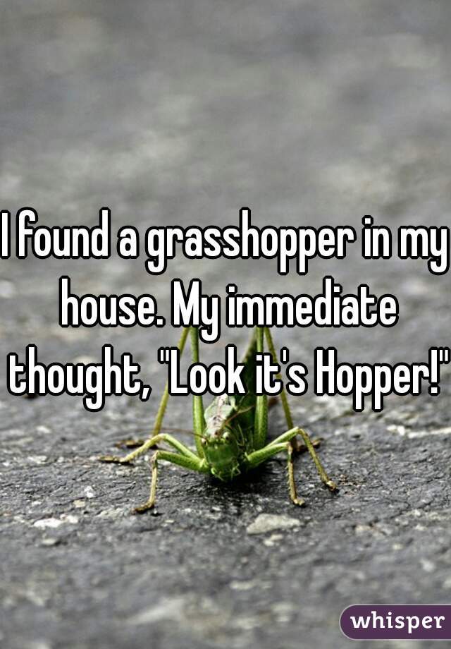 I found a grasshopper in my house. My immediate thought, "Look it's Hopper!"