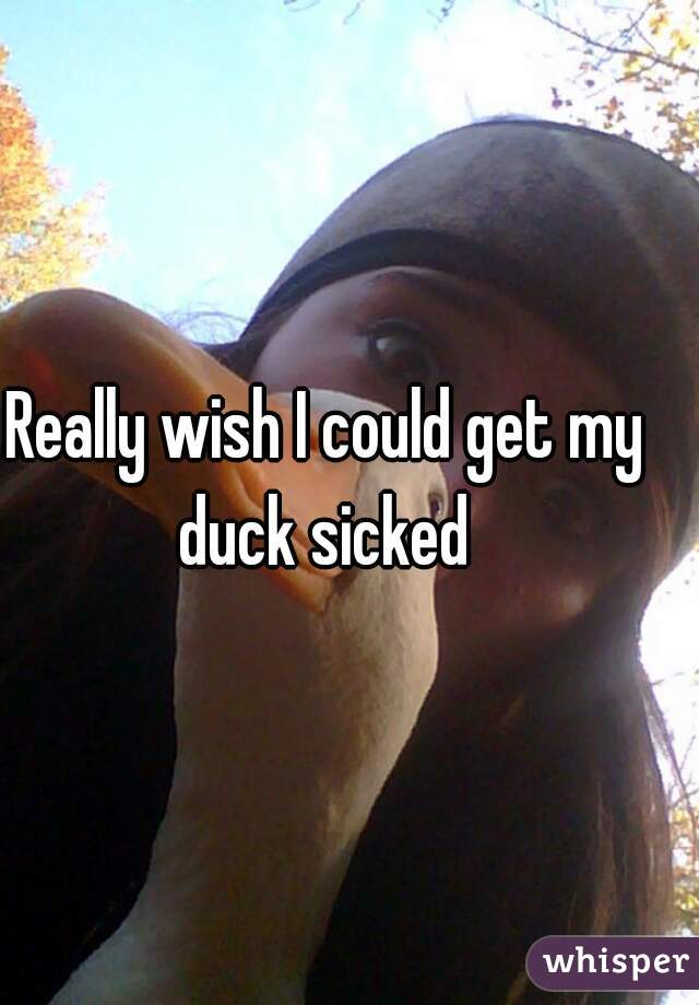 Really wish I could get my duck sicked 