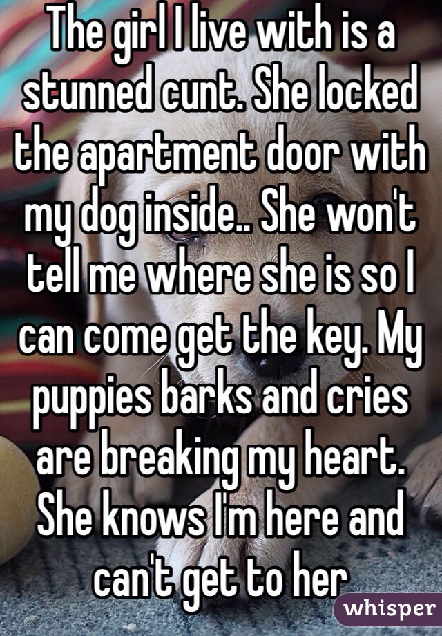 The girl I live with is a stunned cunt. She locked the apartment door with my dog inside.. She won't tell me where she is so I can come get the key. My puppies barks and cries are breaking my heart. She knows I'm here and can't get to her