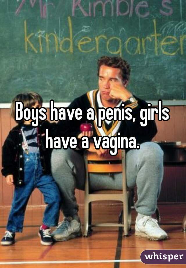 Boys have a penis, girls have a vagina. 