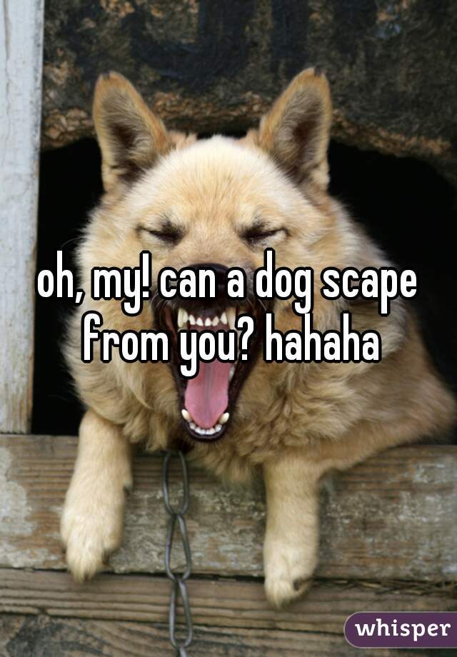 oh, my! can a dog scape from you? hahaha