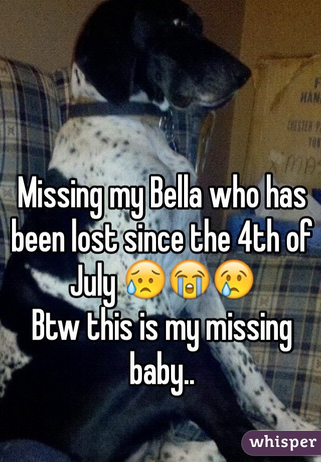 Missing my Bella who has been lost since the 4th of July 😥😭😢
Btw this is my missing baby..