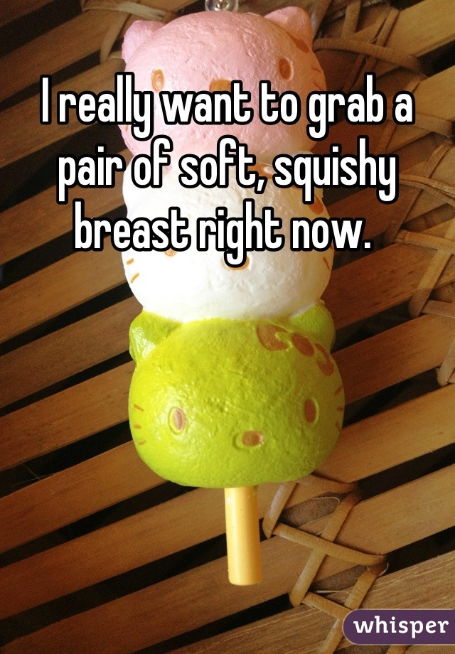 I really want to grab a pair of soft, squishy breast right now. 