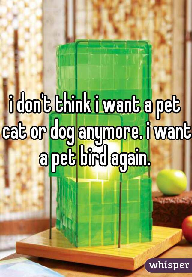 i don't think i want a pet cat or dog anymore. i want a pet bird again. 