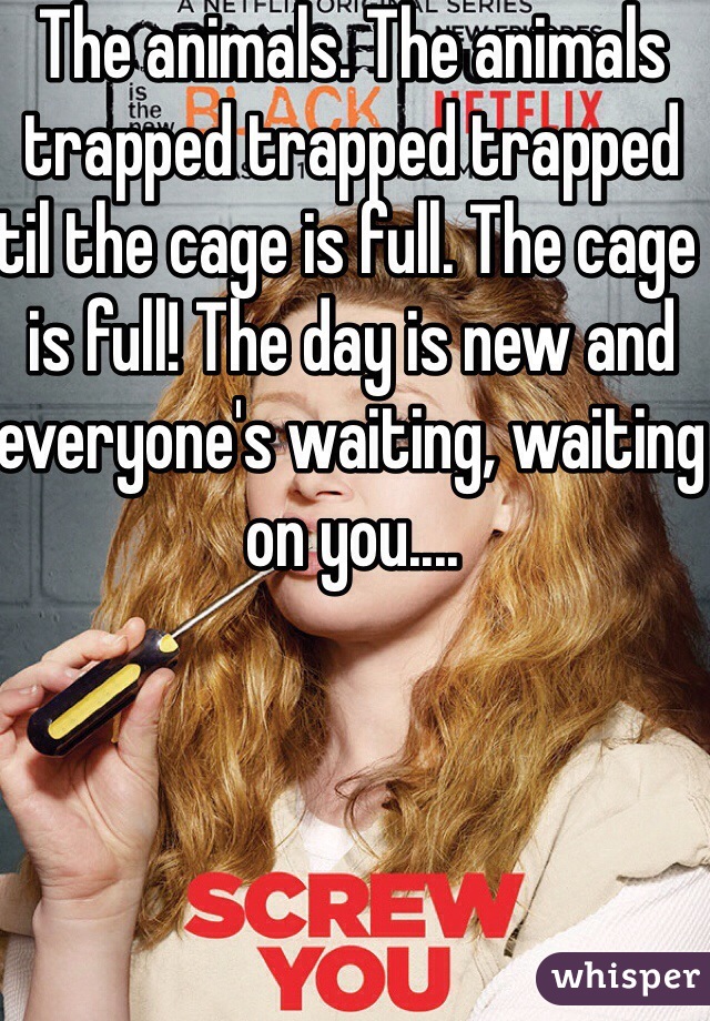 The animals. The animals trapped trapped trapped til the cage is full. The cage is full! The day is new and everyone's waiting, waiting on you....