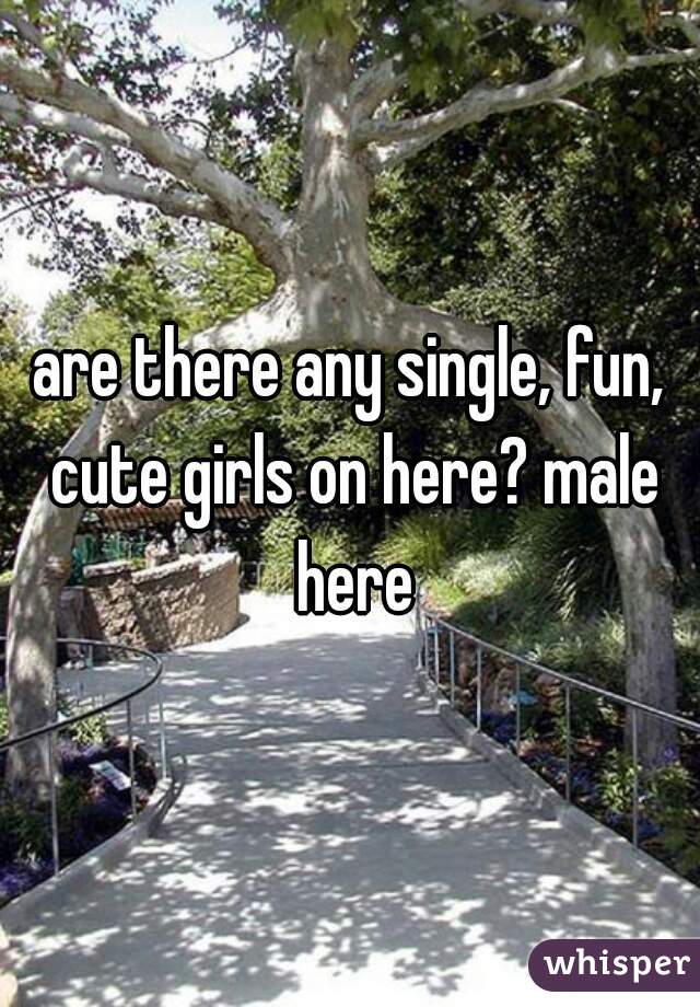 are there any single, fun, cute girls on here? male here