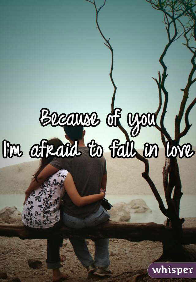 Because of you
I'm afraid to fall in love