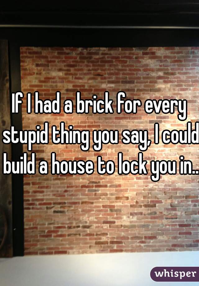 If I had a brick for every stupid thing you say, I could build a house to lock you in...