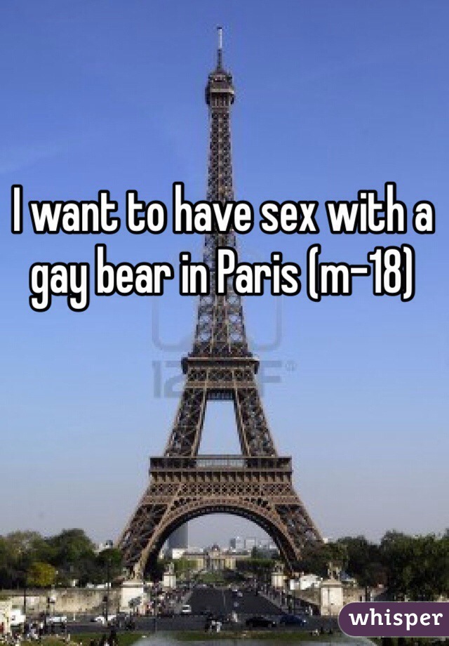 I want to have sex with a gay bear in Paris (m-18)