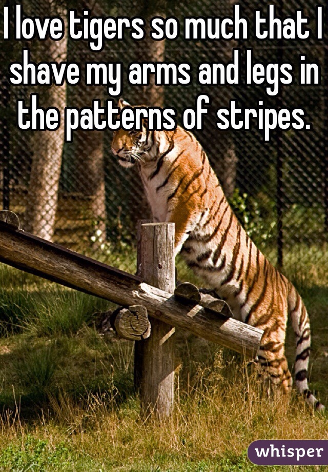 I love tigers so much that I shave my arms and legs in the patterns of stripes.