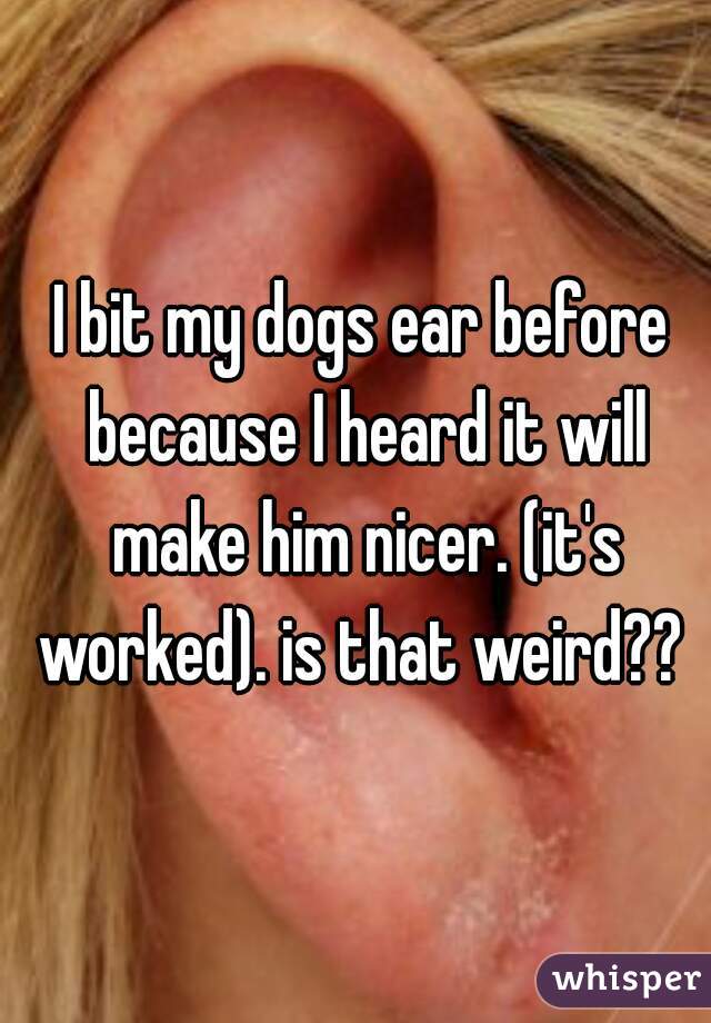 I bit my dogs ear before because I heard it will make him nicer. (it's worked). is that weird?? 