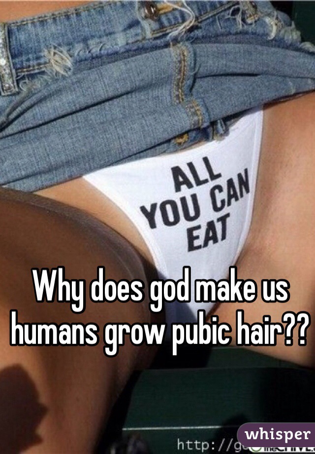 Why does god make us humans grow pubic hair??