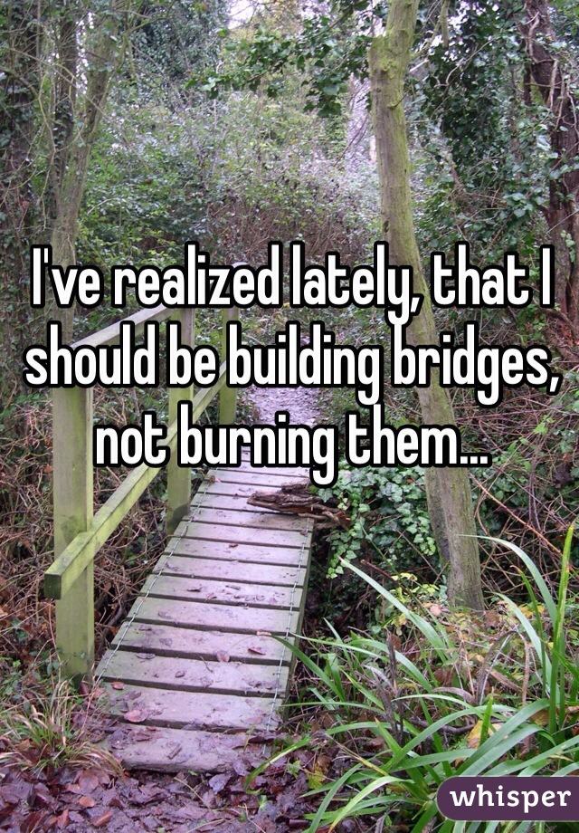 I've realized lately, that I should be building bridges, not burning them... 