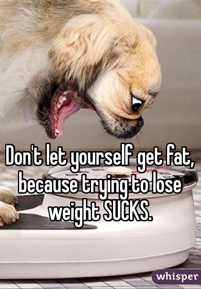 Don't let yourself get fat, because trying to lose weight SUCKS.