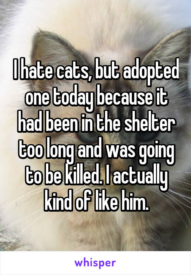 I hate cats, but adopted one today because it had been in the shelter too long and was going to be killed. I actually kind of like him.