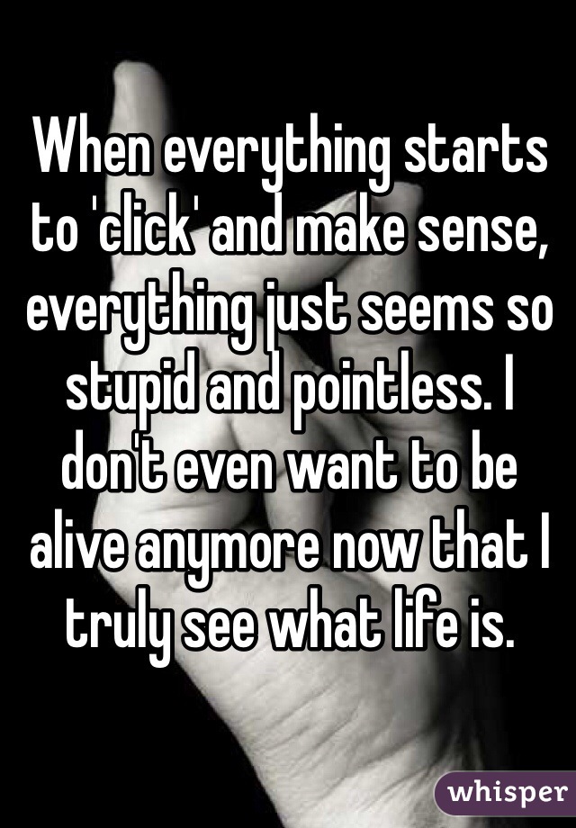 When everything starts to 'click' and make sense, everything just seems so stupid and pointless. I don't even want to be alive anymore now that I truly see what life is.