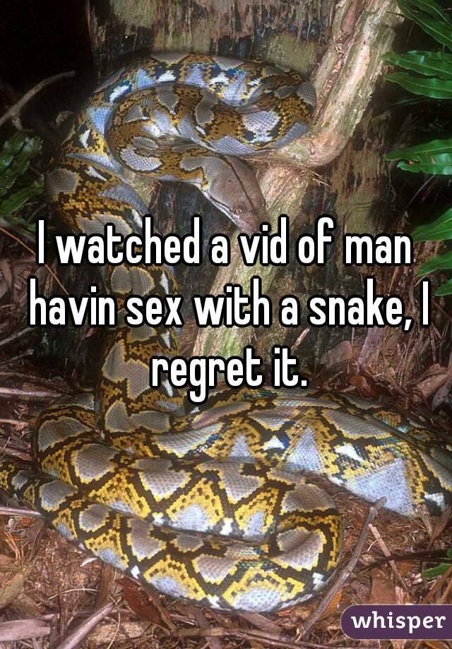 I watched a vid of man havin sex with a snake, I regret it.