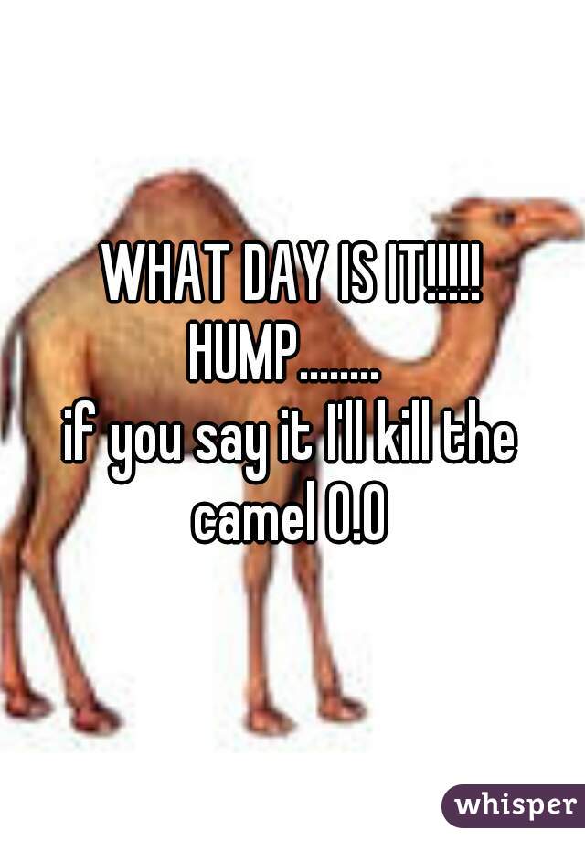 WHAT DAY IS IT!!!!!




HUMP........ 

if you say it I'll kill the camel O.O 