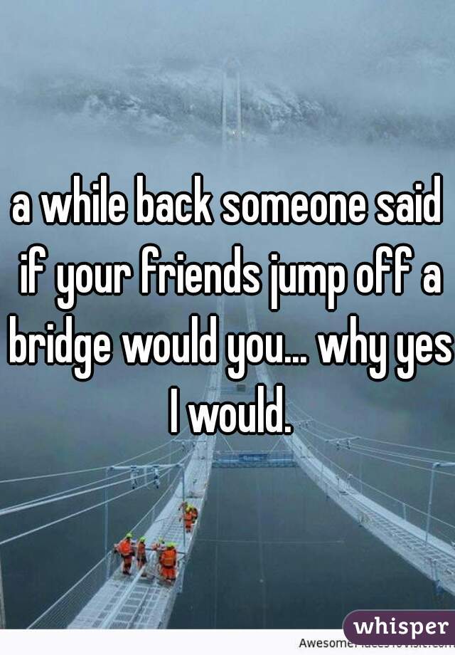 a while back someone said if your friends jump off a bridge would you... why yes I would.