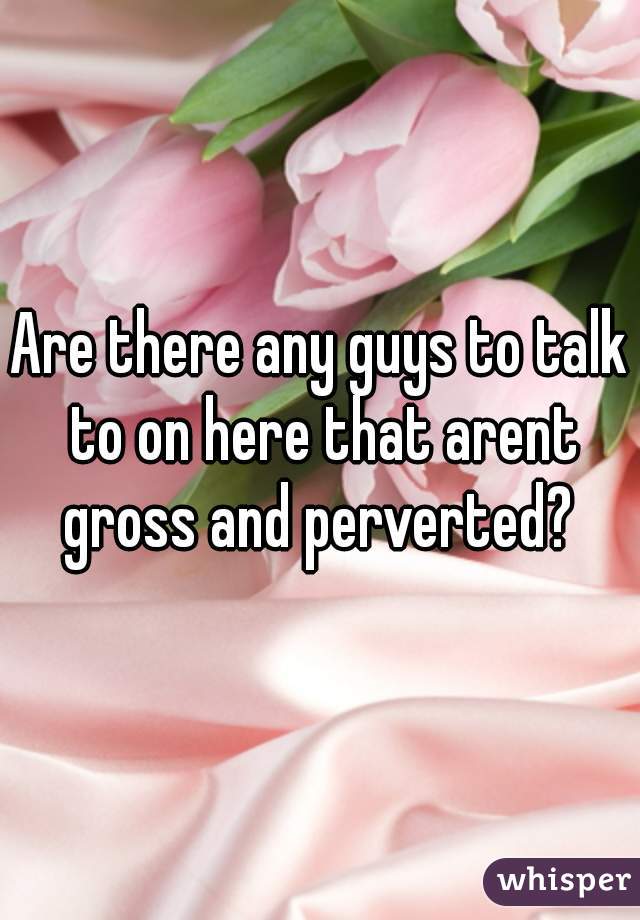 Are there any guys to talk to on here that arent gross and perverted? 