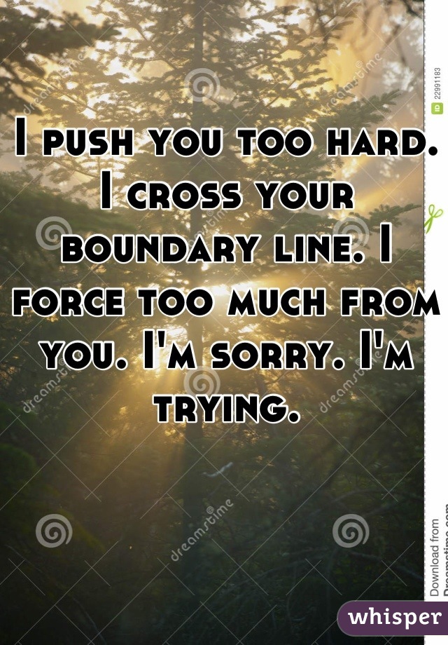 I push you too hard. I cross your boundary line. I force too much from you. I'm sorry. I'm trying.