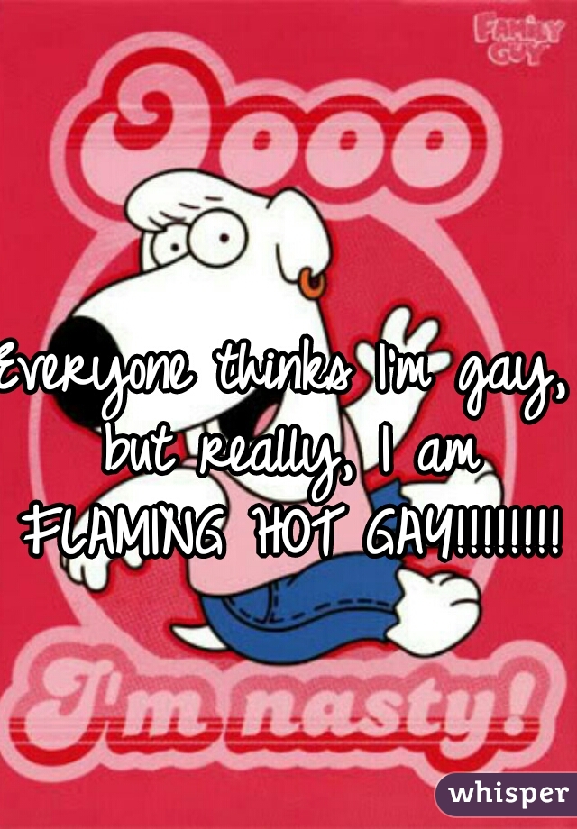 Everyone thinks I'm gay, but really, I am FLAMING HOT GAY!!!!!!!!