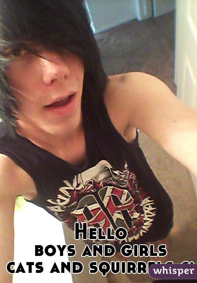 Hello
boys and girls
cats and squirrels c: